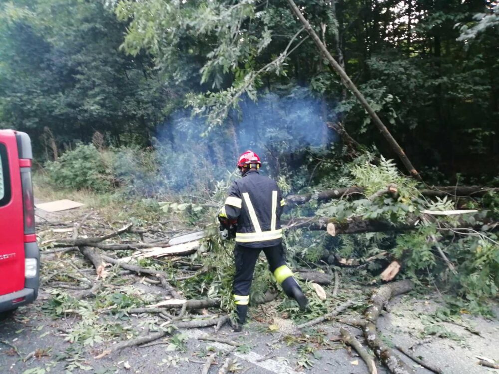 На об’їзній Вінниці впало дерево