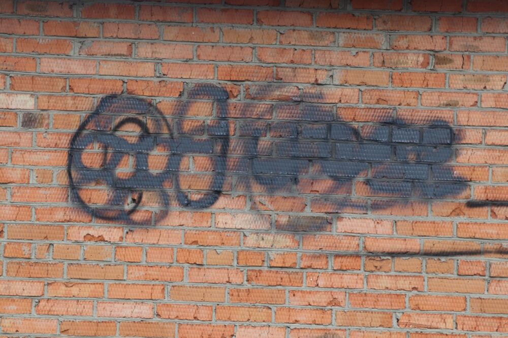 Міський голова Жмеринки і депутатка обласної ради вийшли на антинаркотичну акцію