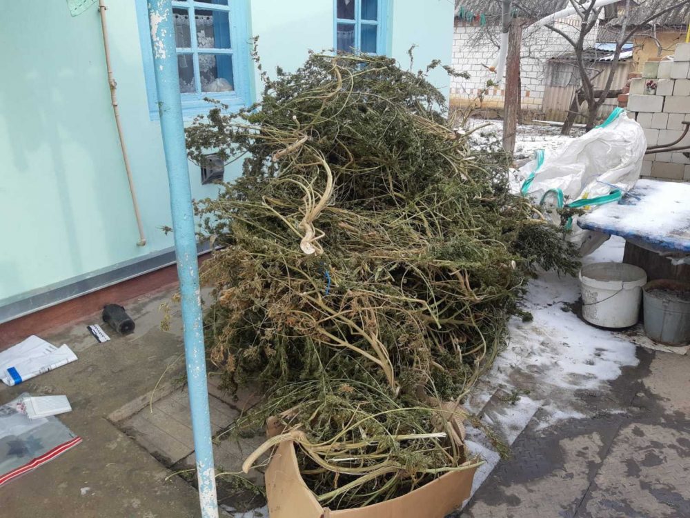 (без назви)